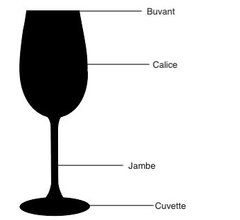 Comment choisir le meilleur verre à pied pour boire du vin ? - Vin